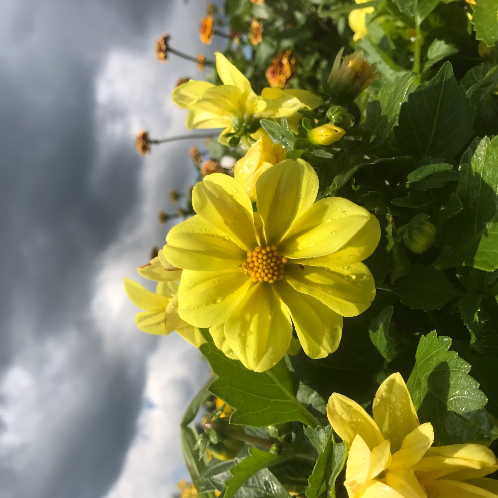 Meet your Posher, Jadyn